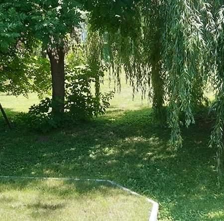 Fuzfa Apartmanhaz Tamasi Luaran gambar